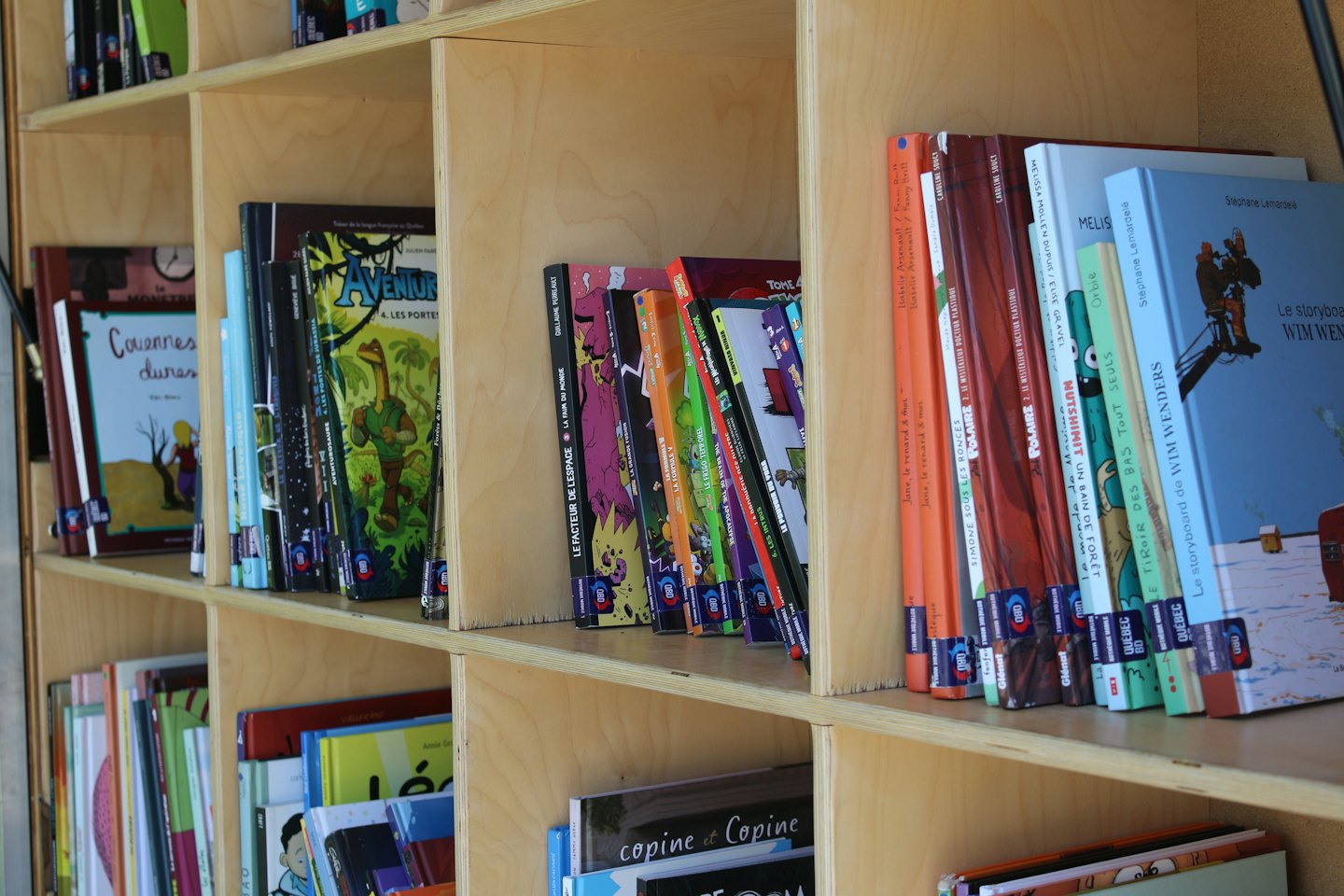 Organized wooden bookshelves filled with various books and labels.